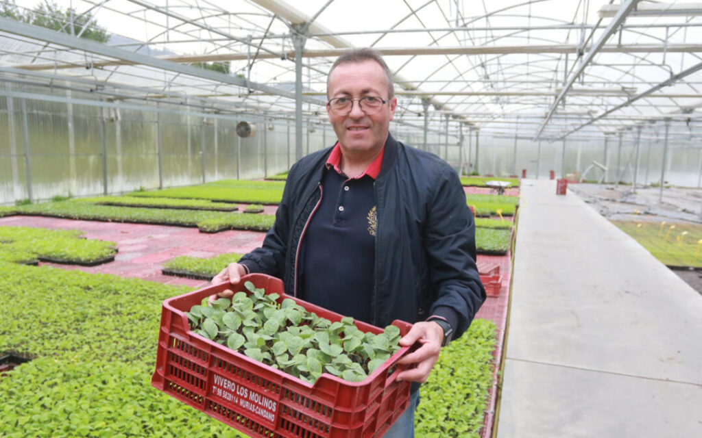 VIVERO LOS MOLINOS – MURIAS (CANDAMO)
